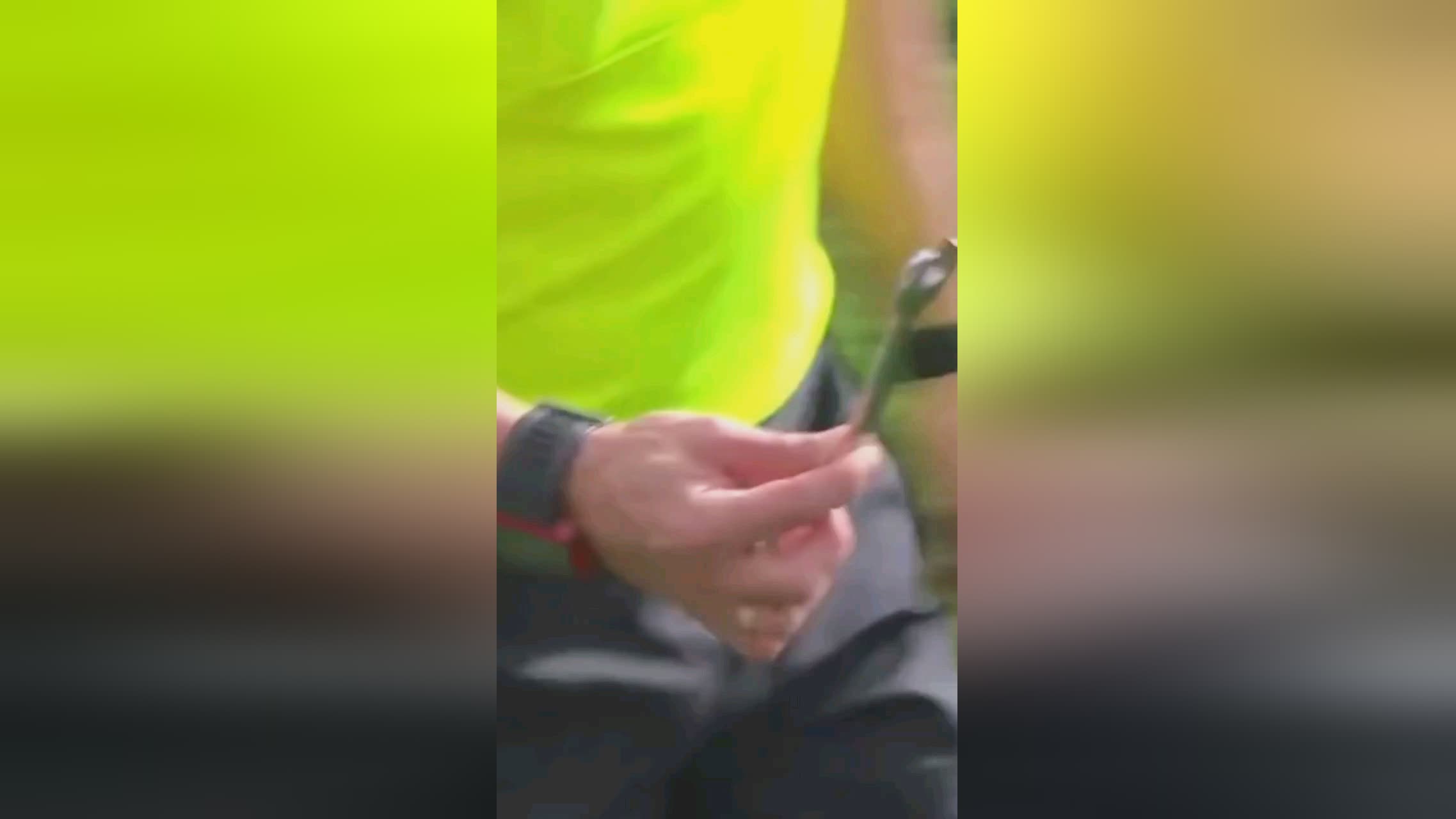 要补充其在