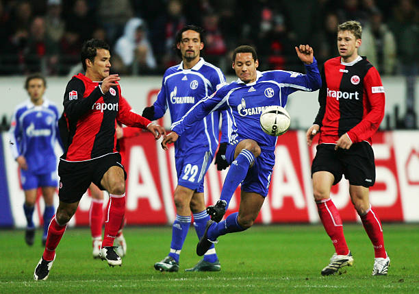 竞争与生理 竞争与生理